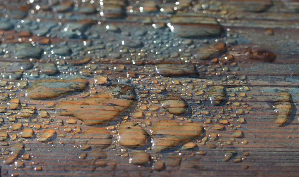 Diagnosi delle Perdite d'acqua negli immobili: le soluzioni di eFed